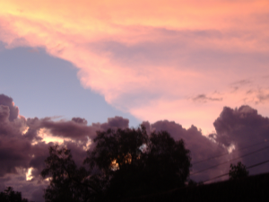 <img:stuff/SUNSET1.bmp.jpg>