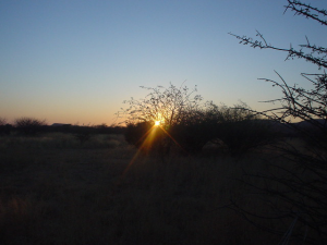 <img:stuff/SUNSET2.bmp.jpg>