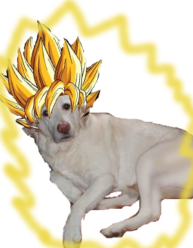 <img:stuff/SUPER%20SAIYAN%20SUNNY!.jpg>