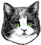 <img:stuff/Sad.png>