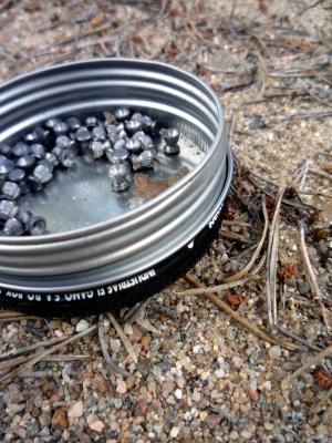 <img300*0:stuff/Sah_bullet.JPG>
