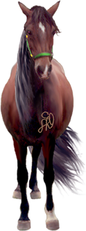 <img:stuff/Samantha124_rev.png>