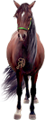 <img:stuff/Samantha50.png>