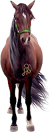 <img:stuff/Samantha50_rev.png>