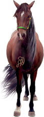 <img:stuff/Samantha87.png>