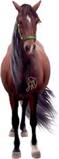<img:stuff/Samantha87_rev.png>