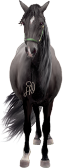 <img:stuff/Samson125.png>