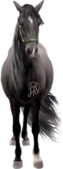 <img:stuff/Samson125_rev.png>