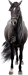 <img:stuff/Samson28.png>