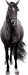 <img:stuff/Samson28_rev.png>