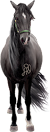 <img:stuff/Samson50_rev.png>