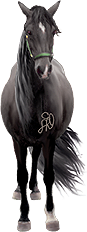 <img:stuff/Samson87_rev.png>