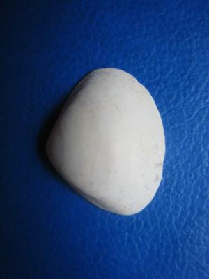 <img300*0:stuff/SchelpBlueJanouk.jpg>