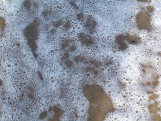 <img0*250:stuff/Sea_Foam_Texture_1.jpg>