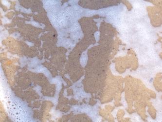 <img0*250:stuff/Sea_Foam_Texture_2.jpg>