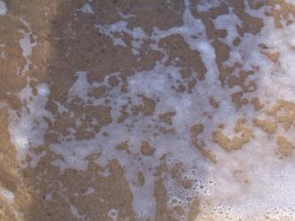 <img0*250:stuff/Sea_Foam_Texture_3.jpg>