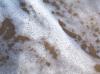 <img100*0:stuff/Sea_Foam_Texture_4.jpg>