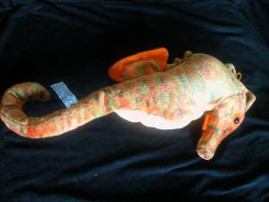 <img300*0:stuff/Seahorse.jpg>