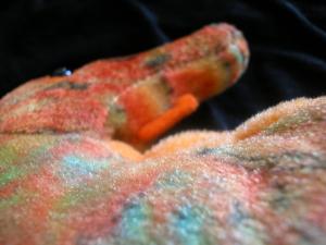<img300*0:stuff/Seahorse_Angle_2.jpg>