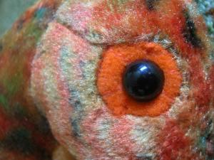 <img300*0:stuff/Seahorse_Eye.jpg>