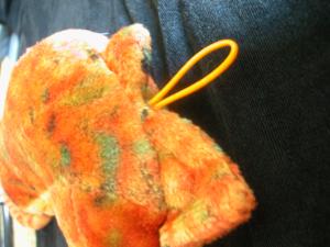 <img300*0:stuff/Seahorse_Top.jpg>