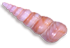 <img:stuff/Seashell2SM_rev.png>