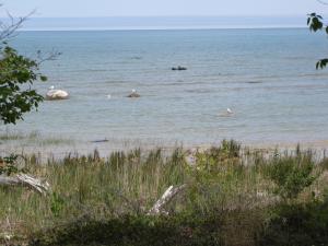 <img300*0:stuff/Secluded_Shore.jpg>