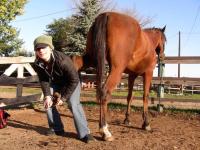 <img200*0:stuff/Second%20Horse%20Lab%20008.jpg>