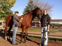 <img200*0:stuff/Second%20Horse%20Lab%20011.jpg>
