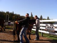 <img200*0:stuff/Second%20Horse%20Lab%20013.jpg>