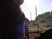 <img200*0:stuff/Second%20Horse%20Lab%20017.jpg>