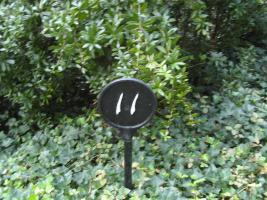 <img0*200:stuff/Sept3-06_m0026.jpg>