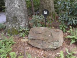 <img0*200:stuff/Sept3-06_m0045.jpg>