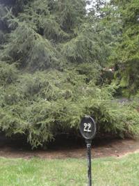 <img200*0:stuff/Sept3-06_m0050.jpg>