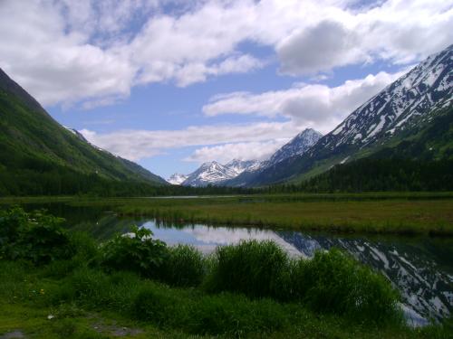 <img500*375:stuff/Seward_turn-out_1.jpg>