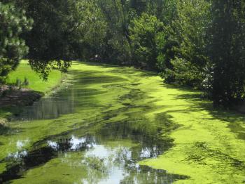 <img350*0:stuff/Shades_of_green.jpg>