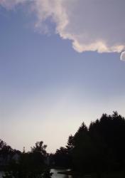 <img0*250:stuff/Shadow_Before_the_Storm.jpg>