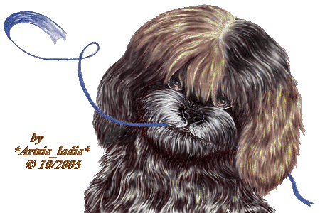 <img:stuff/Shaggy450X300X150Rev.psd.gif>