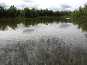 <img300*0:stuff/Shallow_Waters.jpg>