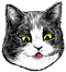 <img:stuff/Shock-surprise.png>