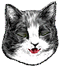 <img:stuff/Silly.png>