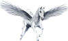 <img:http://elftown.heddate.com/stuff/SilverPegasus100-ByArtsie_ladie.png>