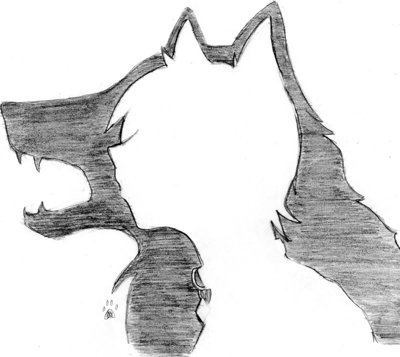 <img:stuff/Silver_White_Wolf.jpg>