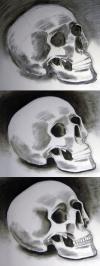 <img100*0:stuff/SkullSketchProgress.jpg>