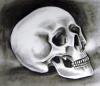 <img100*0:stuff/SkullStudyComplete.jpg>