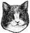 <img:stuff/Sleeping.png>