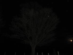 <img300*0:stuff/Sleeping_Giant.jpg>