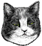 <img:stuff/Sleepy.png>