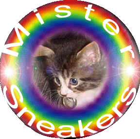 <img:stuff/Sneaker_Rainbow_Ring.gif>