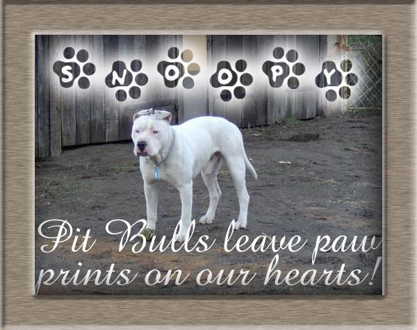 <img:stuff/Snoopy_Paw_Prints.jpg>